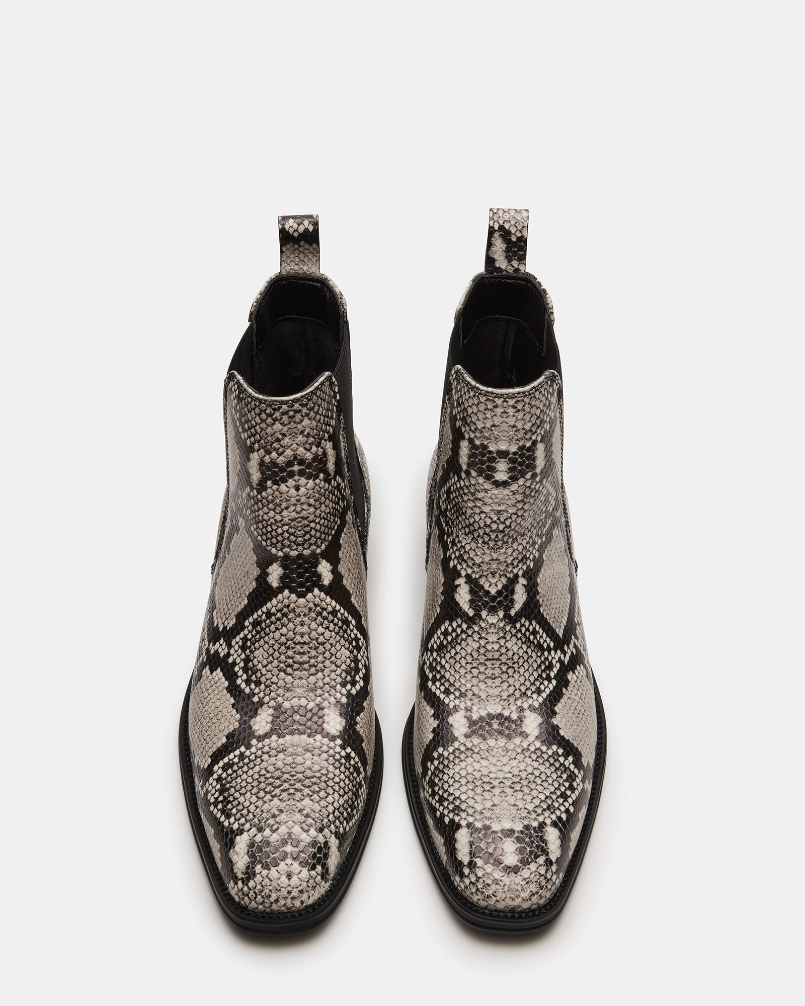 HARTE WHITE SNAKE - SM REBOOTED