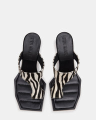 ALAMEDA ZEBRA
