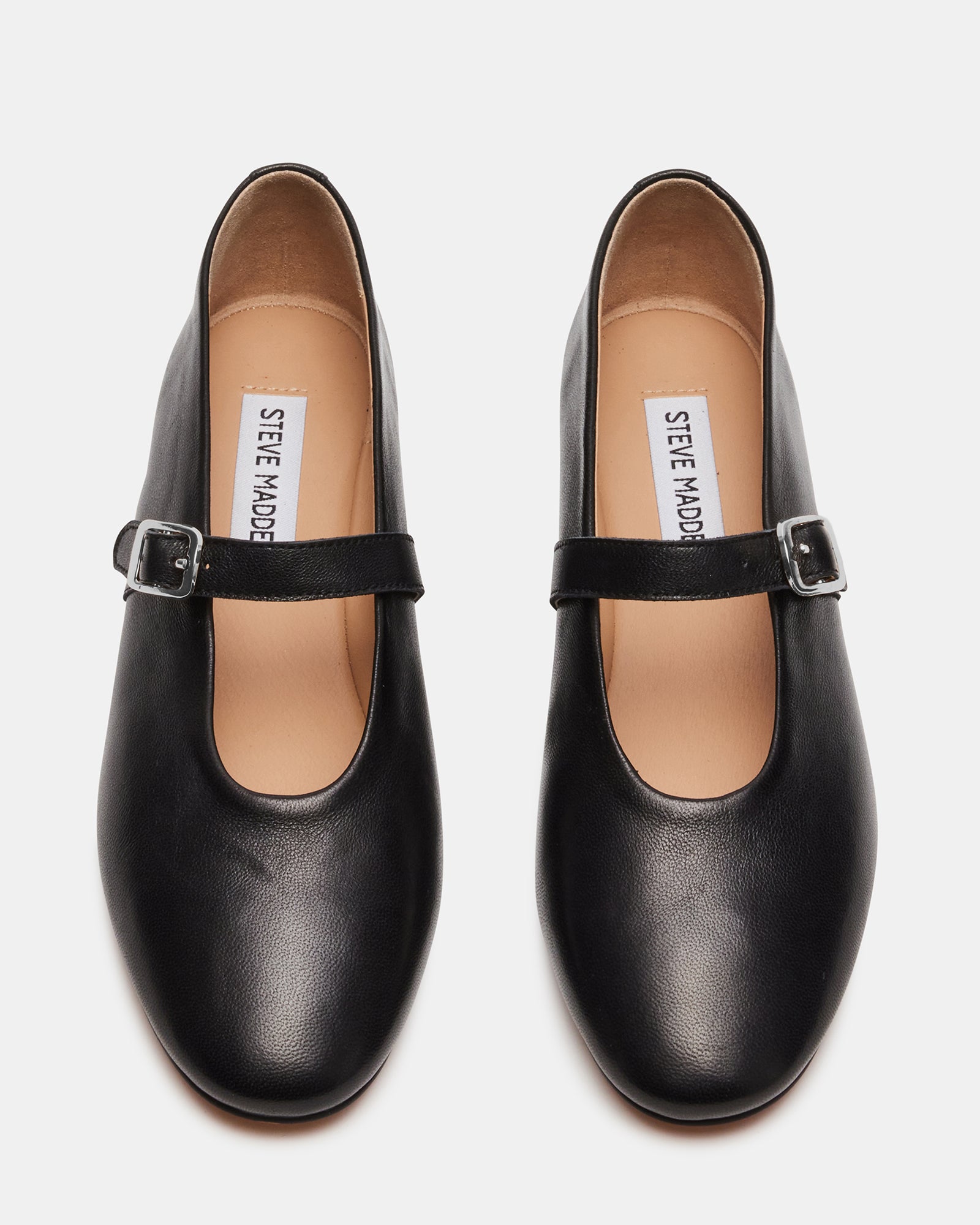 DREAMING BLACK LEATHER - SM REBOOTED