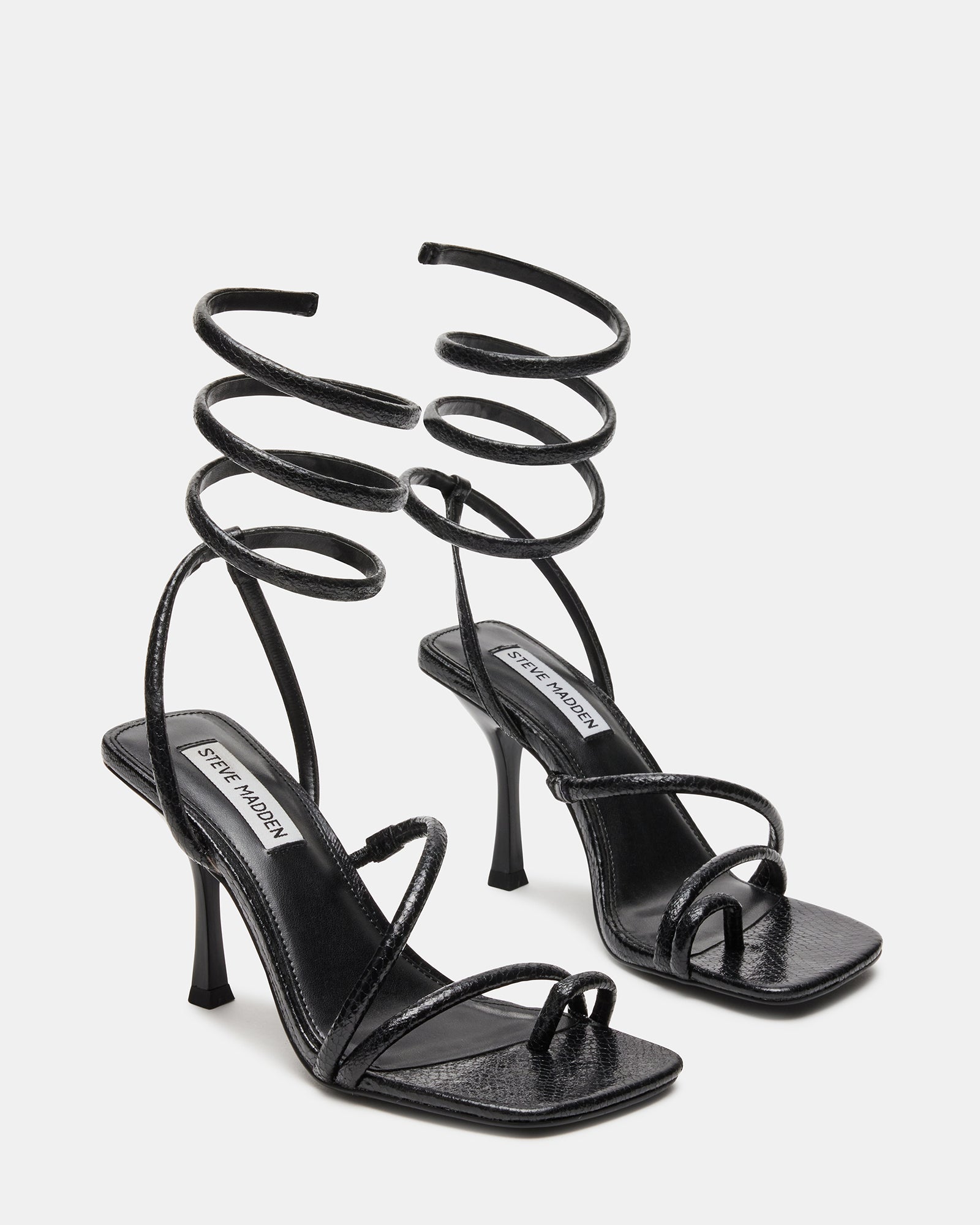SHANTELLE BLACK - SM REBOOTED